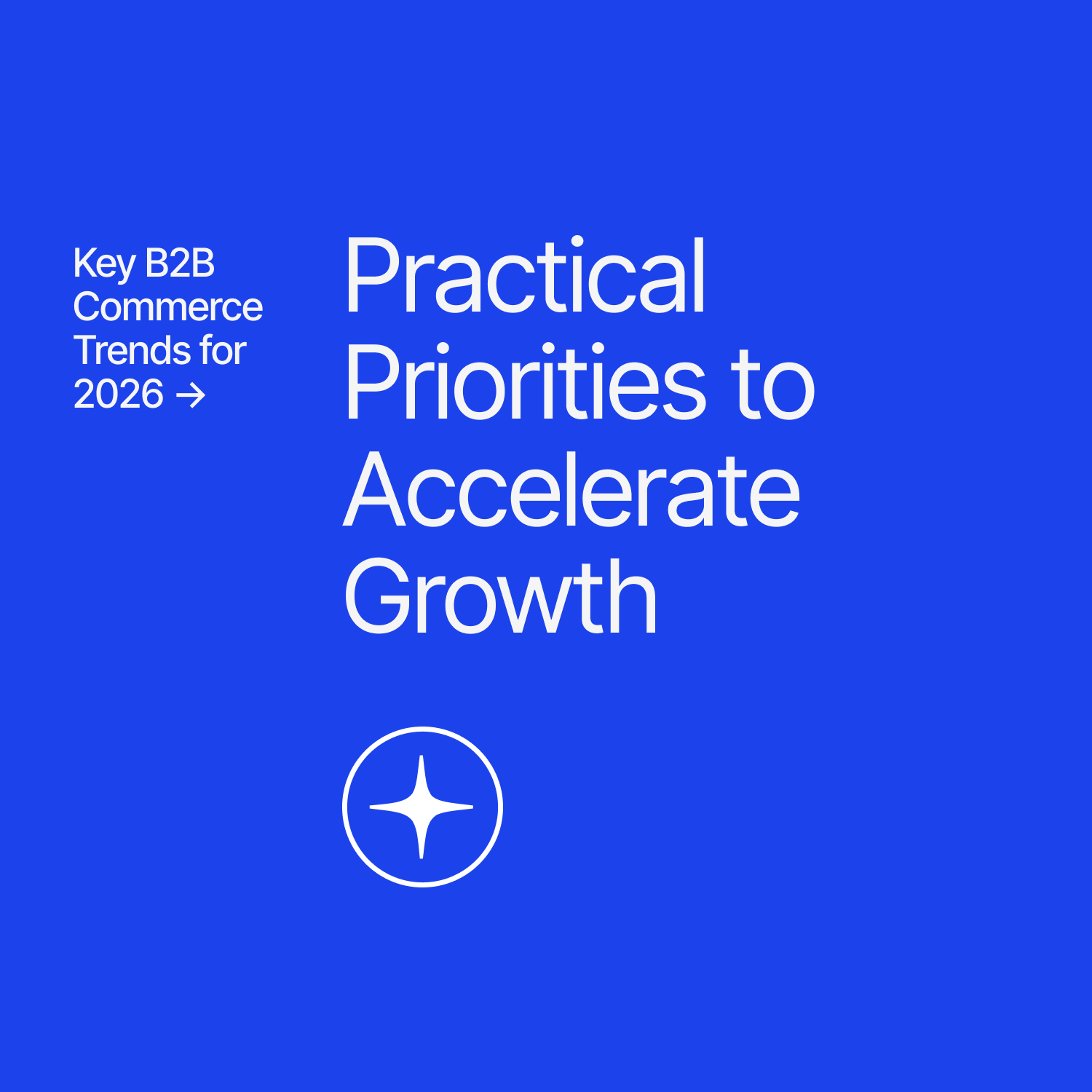 Novatize Blog | Key B2B Commerce Trends for 2026: Practical Priorities ...