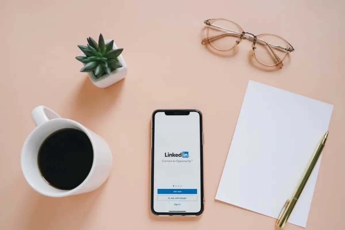 what is linkedin as a network professional social media