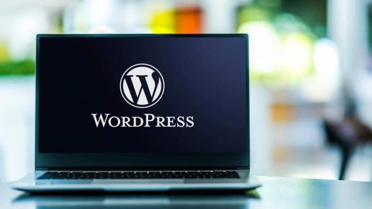 your website security is helped by wordpress