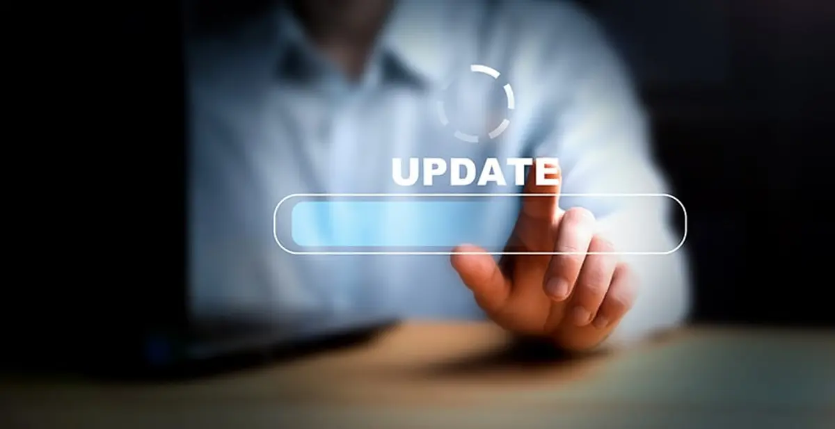 the appeal ofautomatic software updates of wordpress site