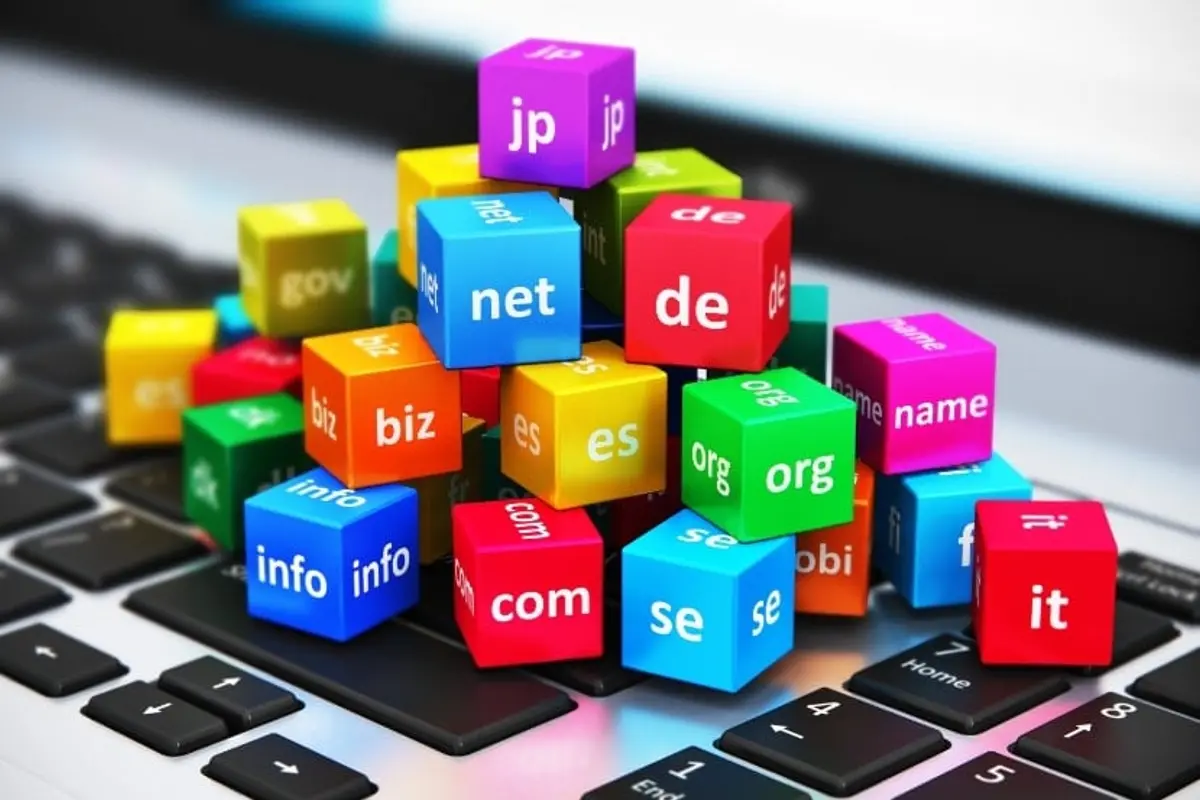 Domain name extension