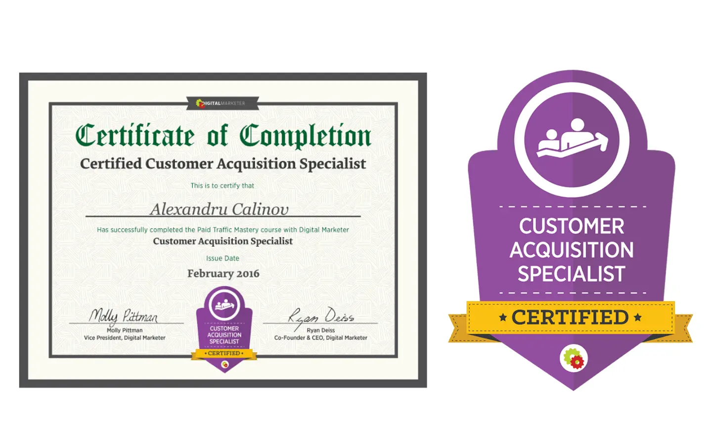 alex calinov customer acquisition specialist consultant wordpress website developer