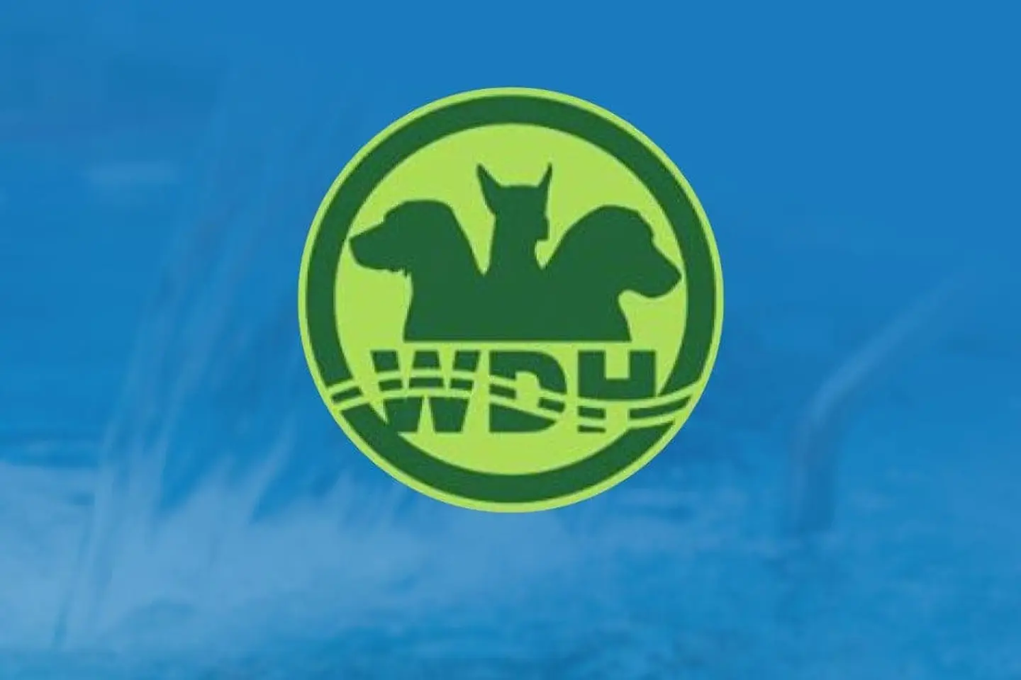 Well Dog Hydrotherapy