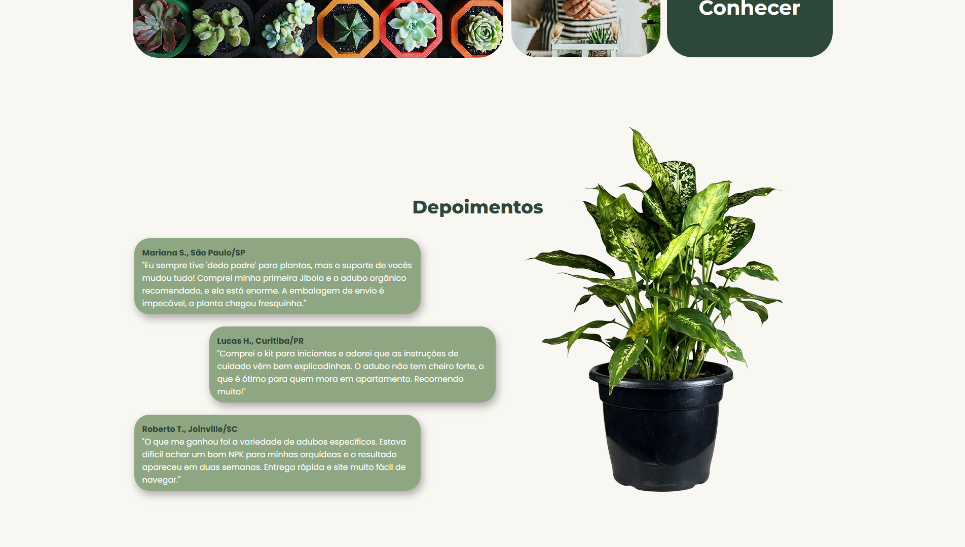 Cantinho Verde - Imagem 4