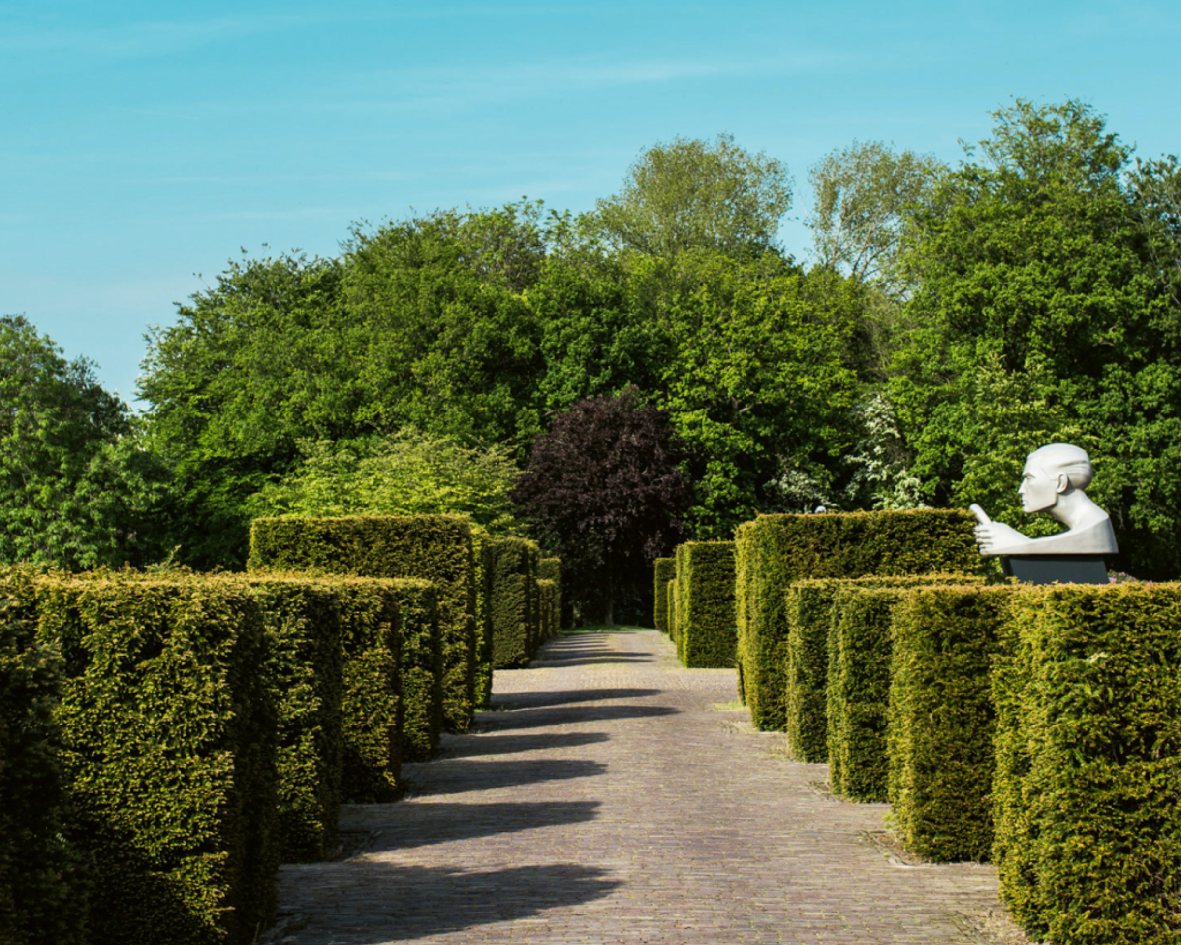 Groen tuinpad met vierkante bossage en een beeld van een hoofd aan de rechterkant