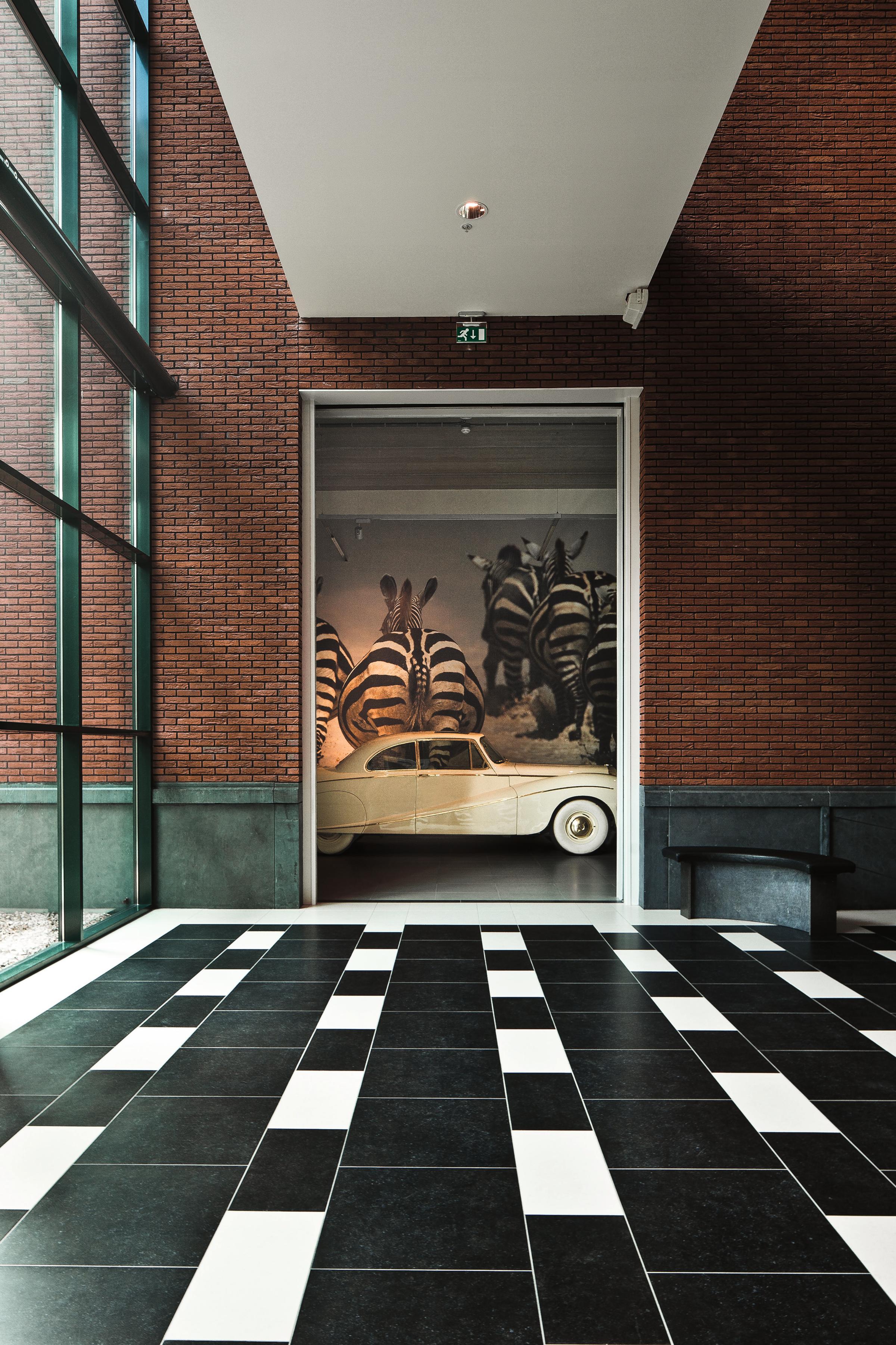 Doorkijkje naar witte auto met zebra's op de muur geprint