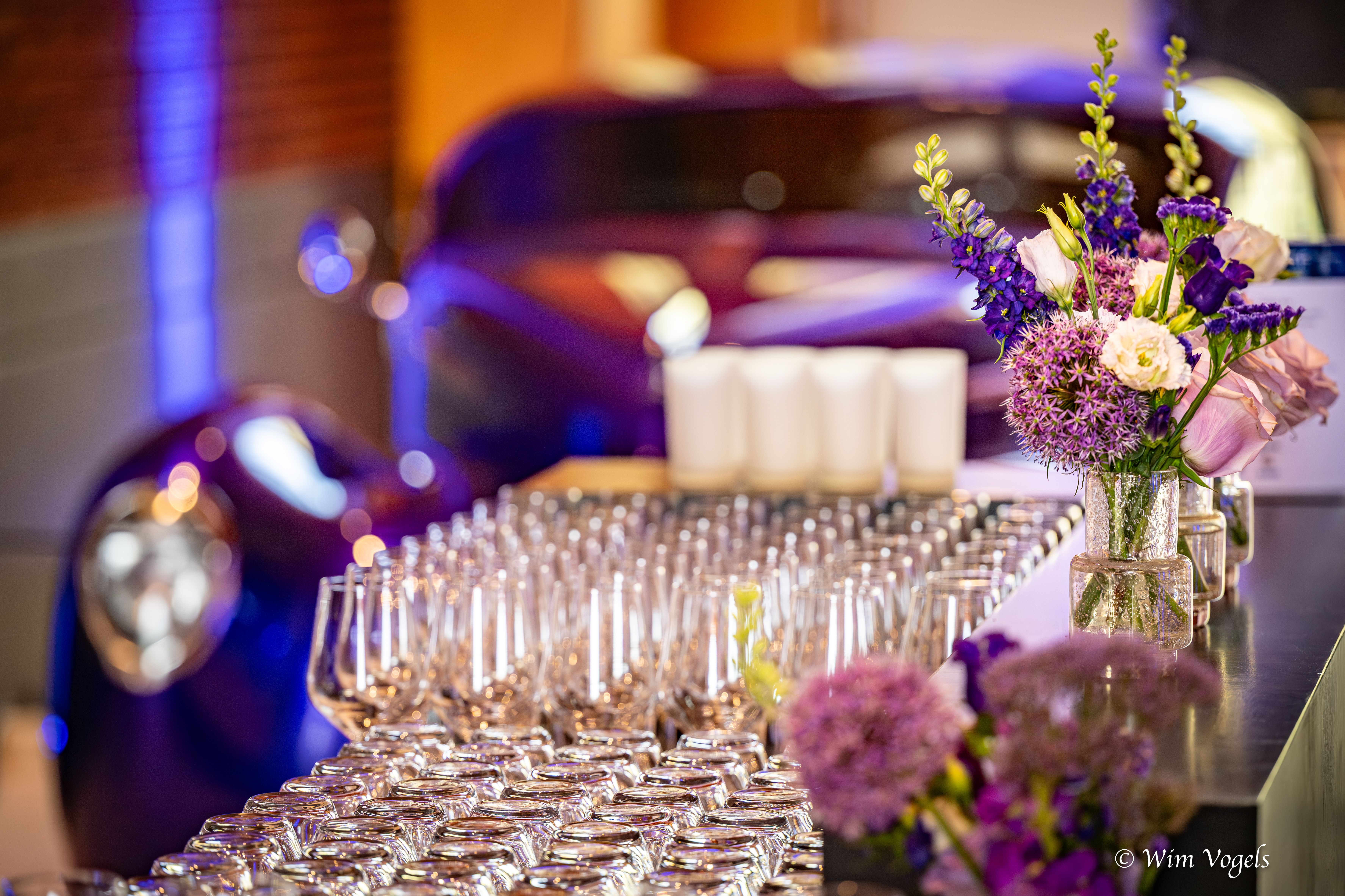 ESA 50 jaar gala diner in het Louwman Museum 