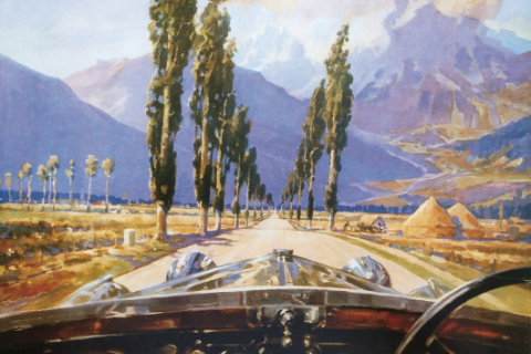 Perspectief vanuit een grijze auto kijkend naar laan met lange bomen en hoge bergen