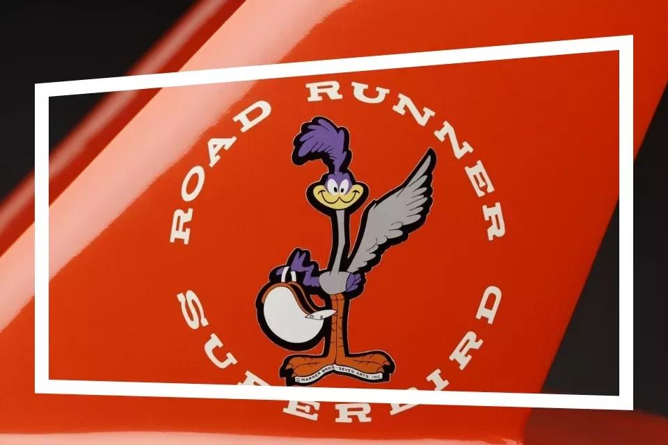 Vogel met paarse kuif houdt een helm vast en daar omheen de tekst Road Runner Superbird