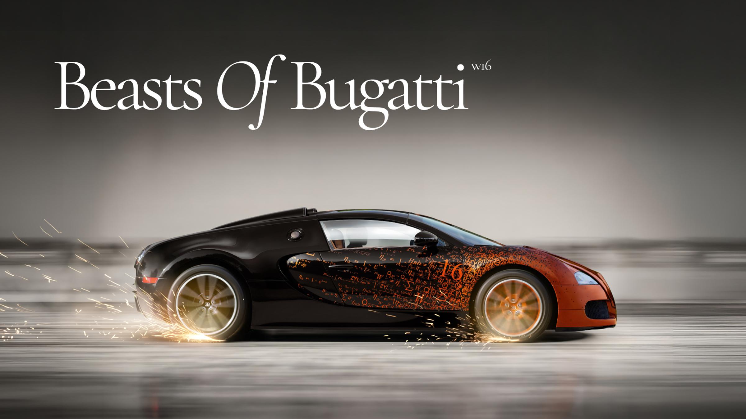 Bugatti Veyron Grand Sport Bernar Venet