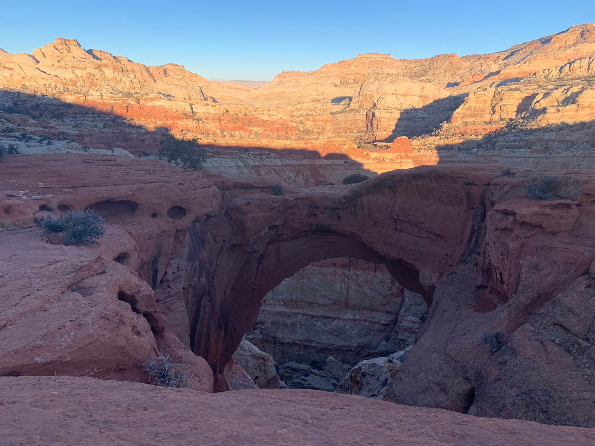 Cassidy Arch