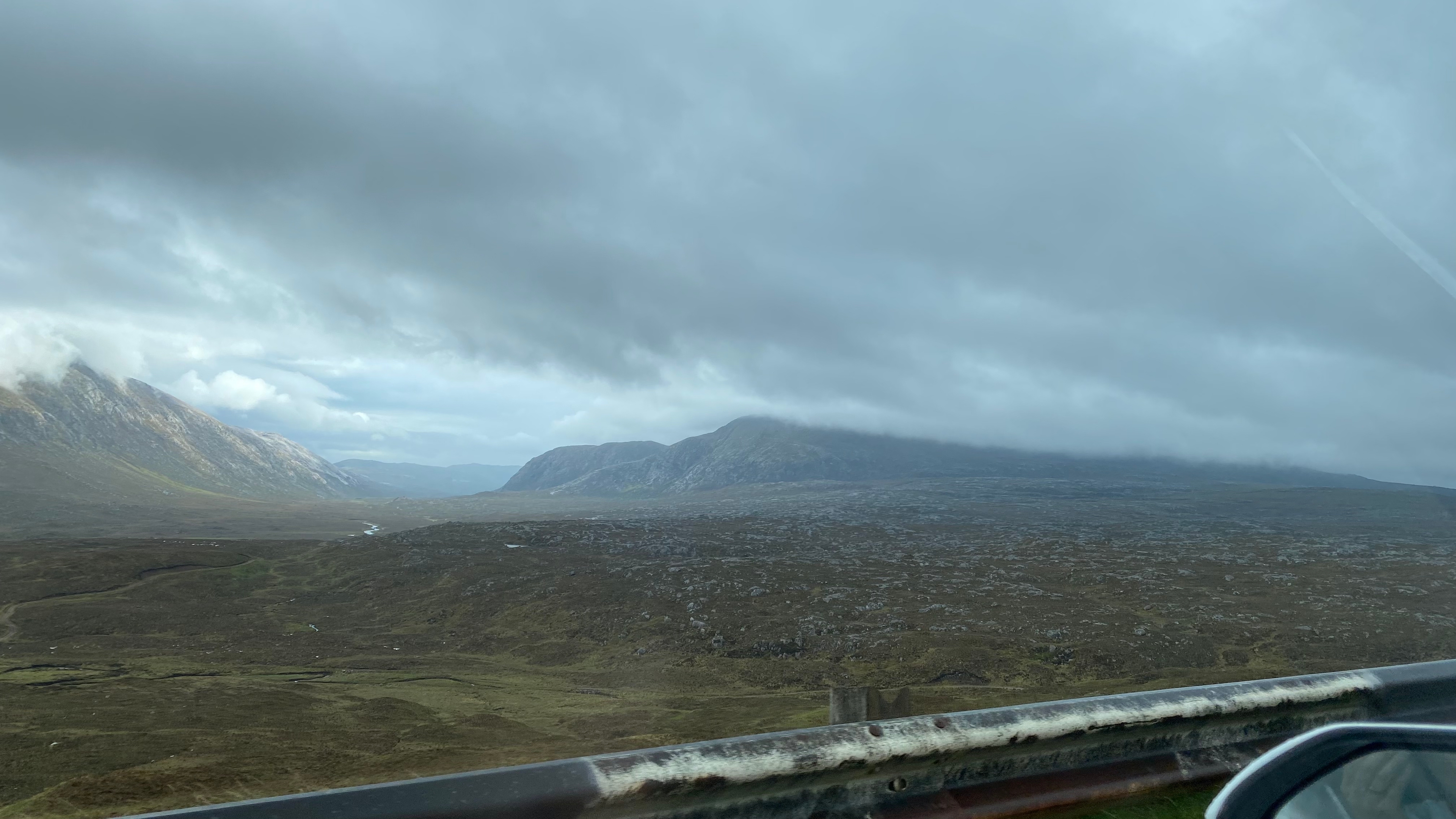 Peat Bog