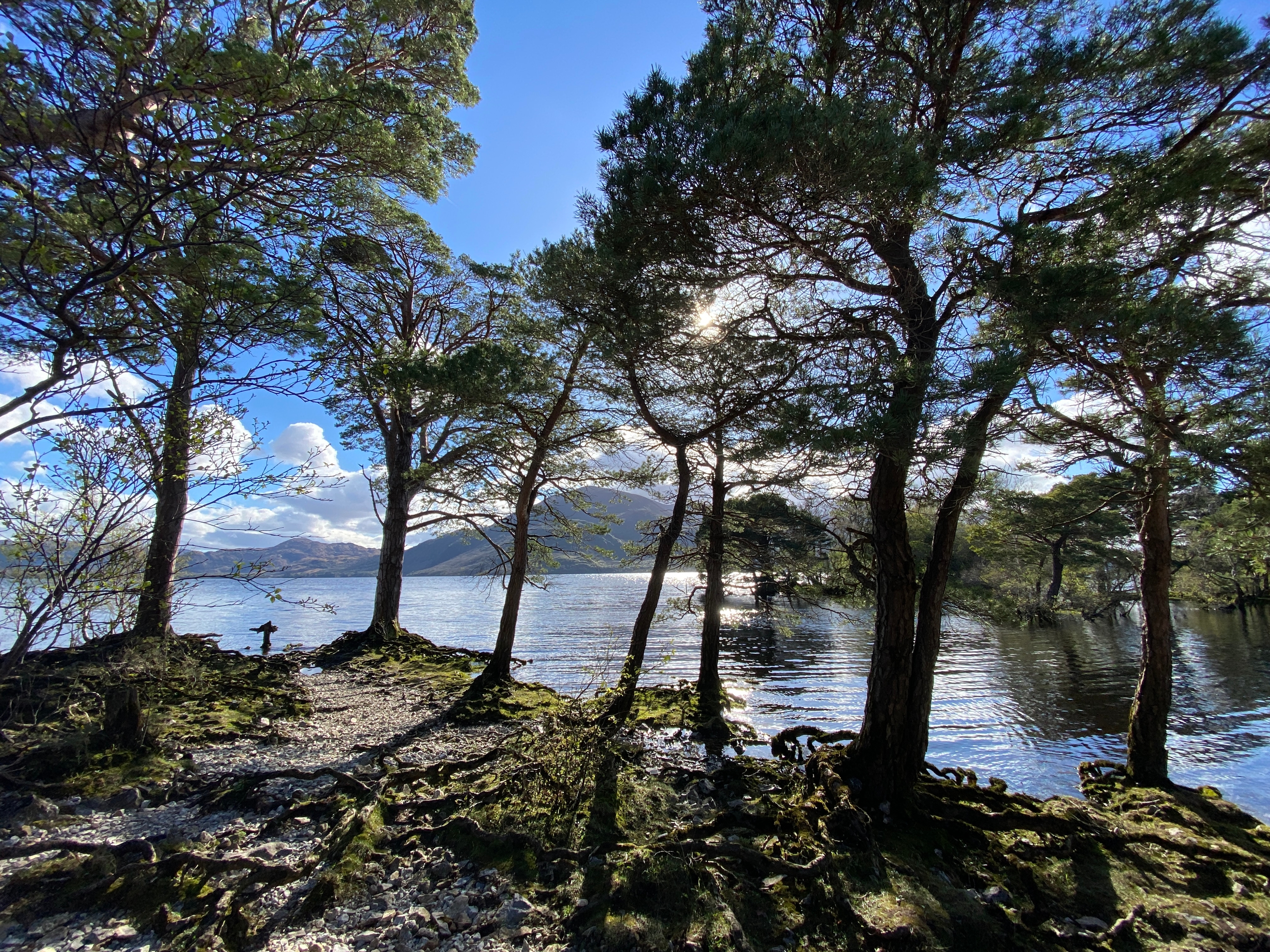 Lough Leane
