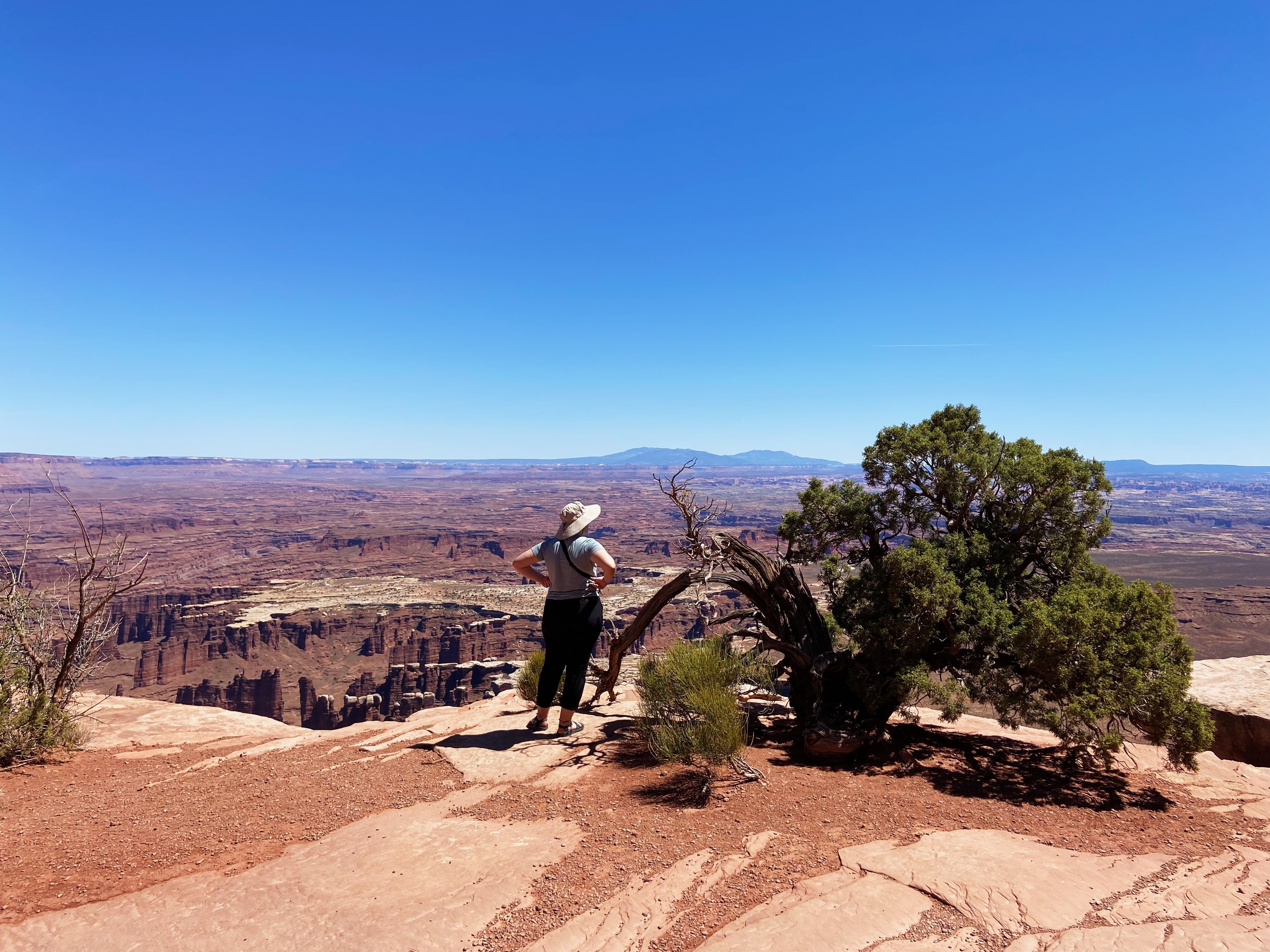 Island in the Sky Canyonlands 