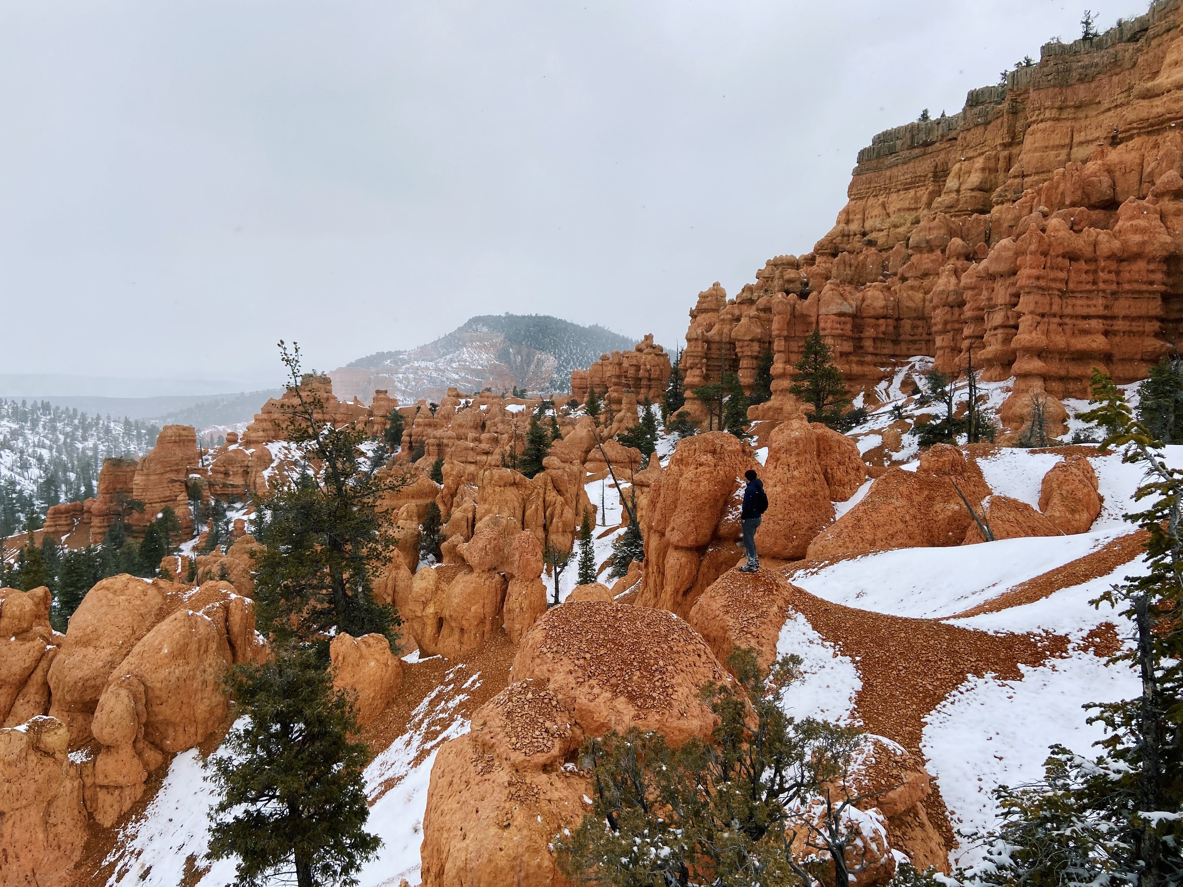 Hoodoos in Red Canyon, Utah