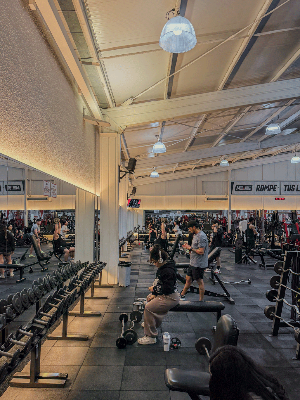 INFRAESTRUCTURA DE PRIMER NIVEL — Nutre y Entrena Talca