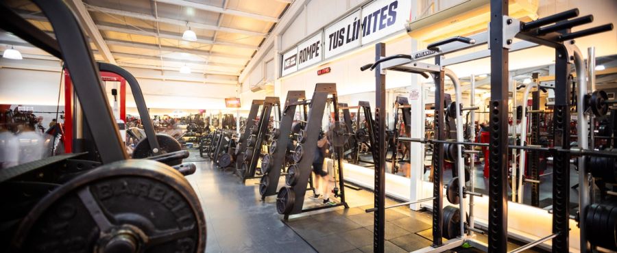 Zona de máquinas de fuerza en Nutre y Entrena Talca