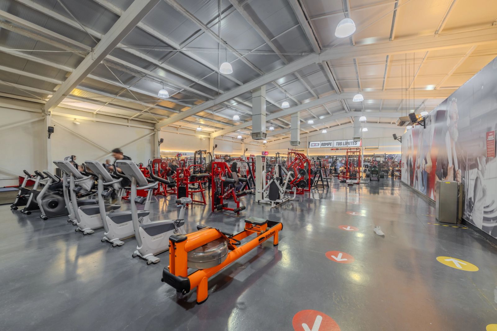GIMNASIO + NUTRICIÓN + SUPLEMENTOS + KINESIOLOGÍA — Nutre y Entrena Talca