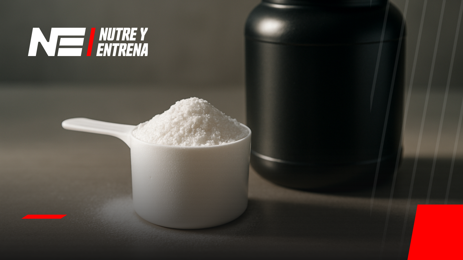 Scoop con polvo de monohidrato de creatina sobre superficie limpia con luz natural