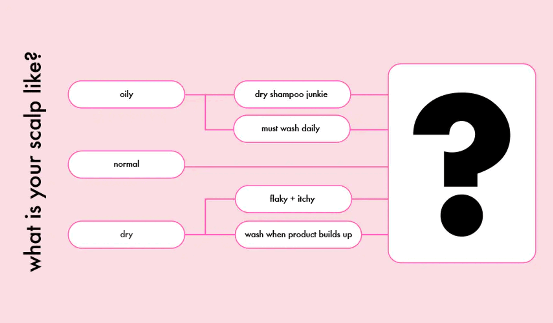 what is your scalp like infographic