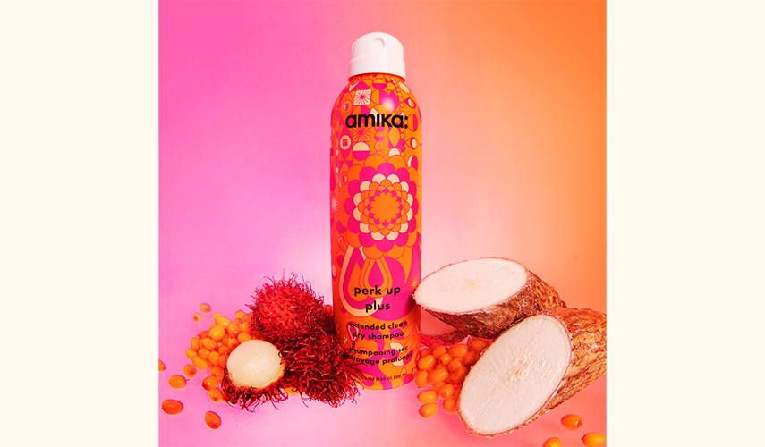 perk up plus extended clean dry shampoo surrounded by ingredients