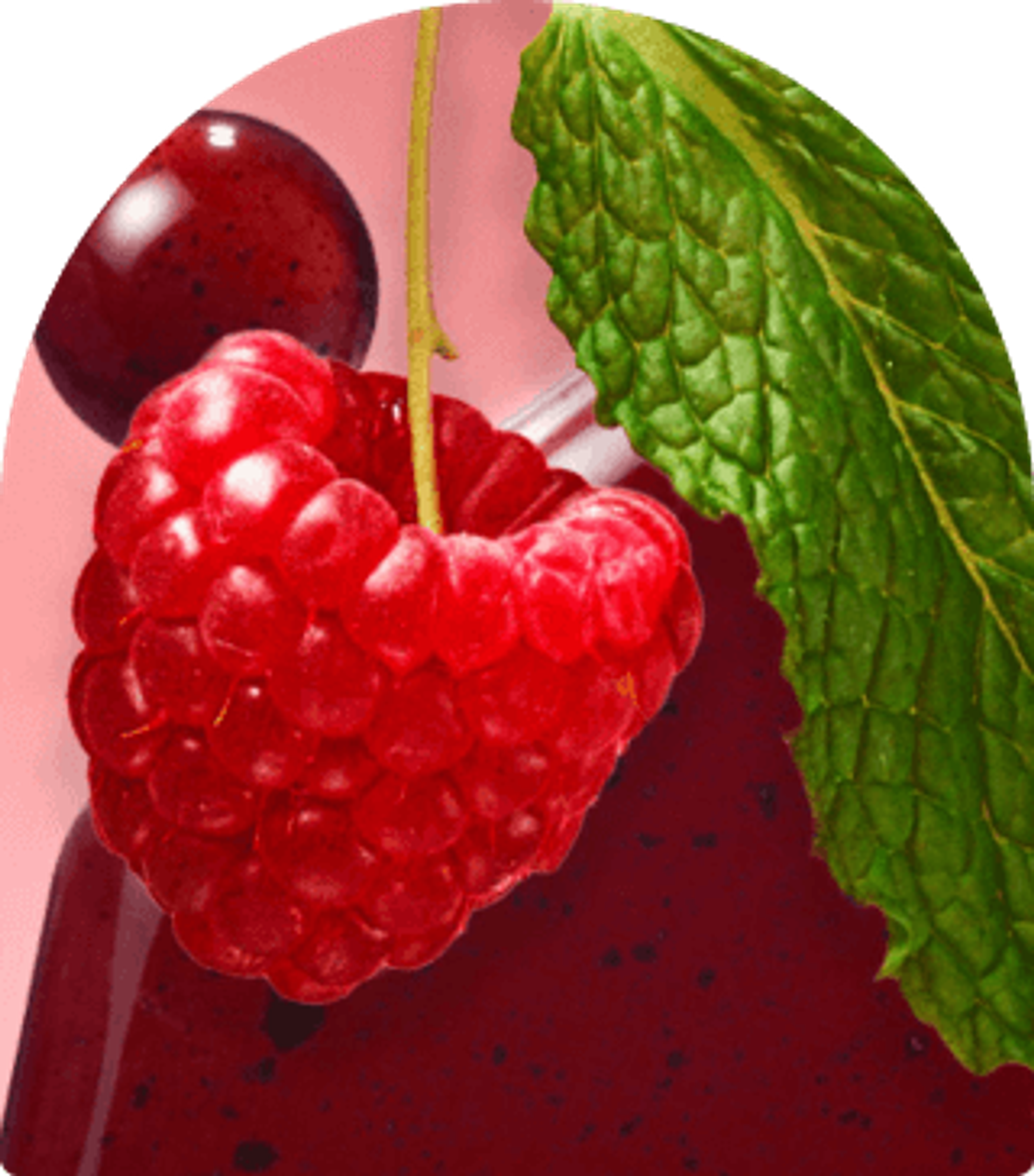 close up image of a red wine raspberry and its oil against a pink background.