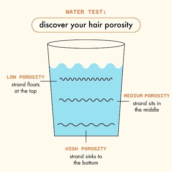 discover your hair porosity infographic
