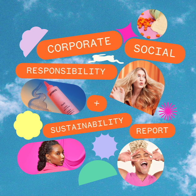 corporate social responsibility and sustainability report