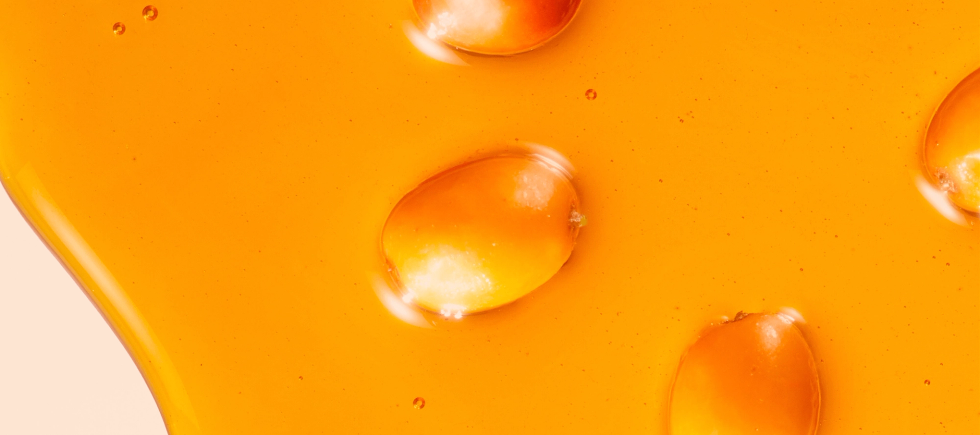 image of sea buckthorn berries on cream background for desktop version.