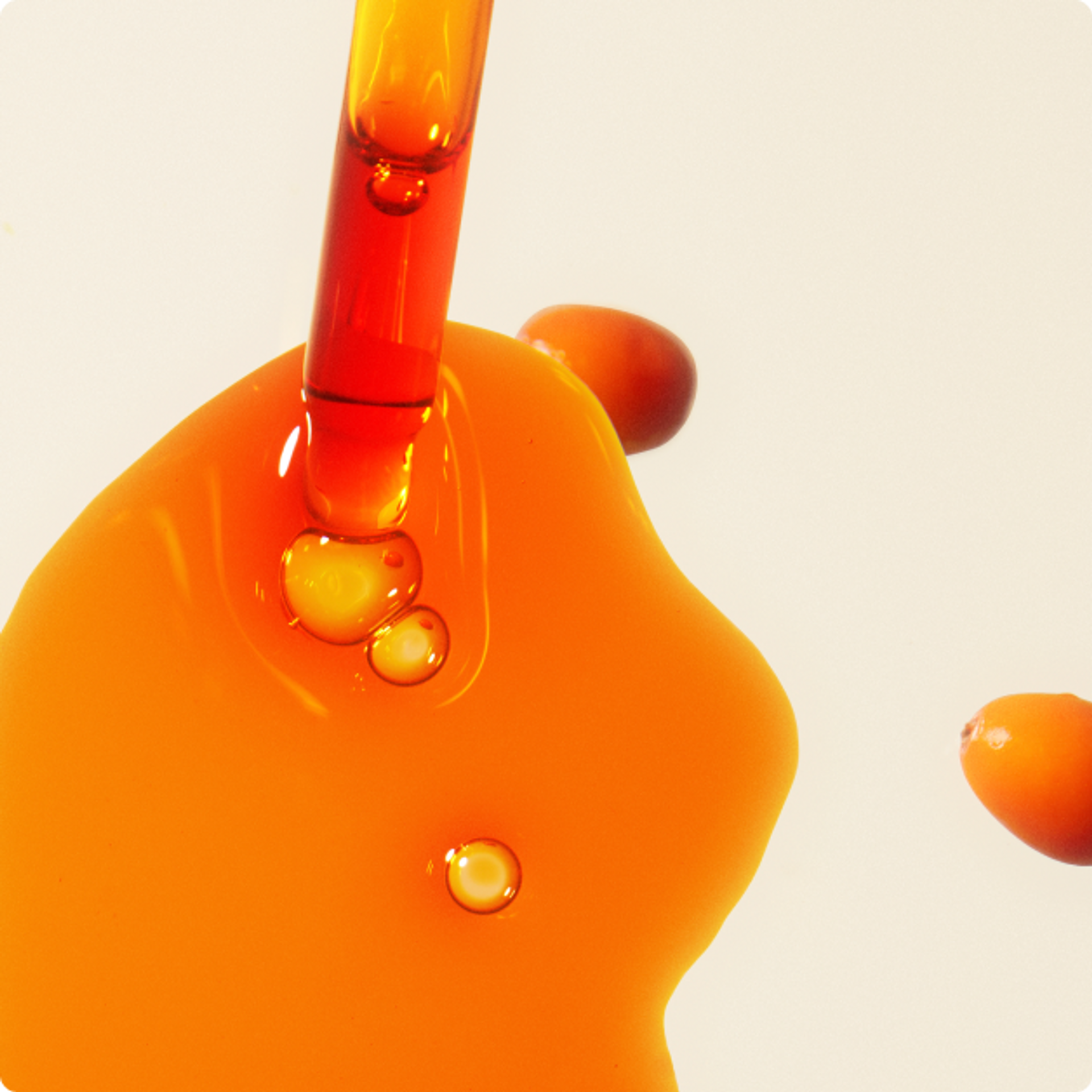 sea buckthorn ingredient spotlight