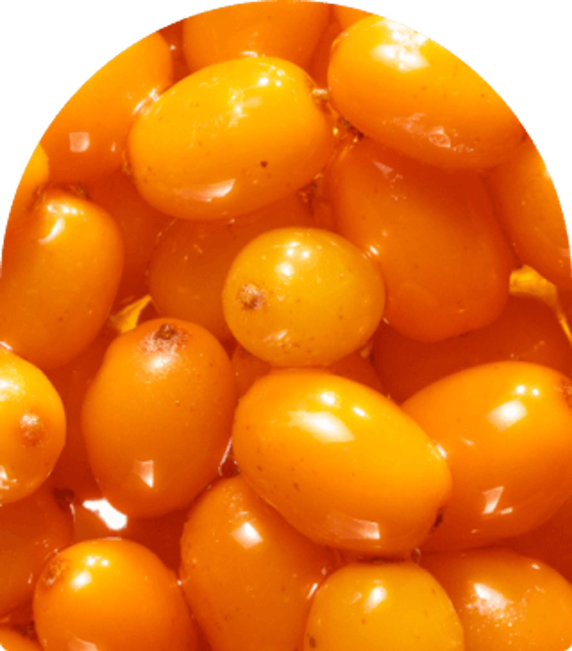 image of close up sea buckthorn berries for landing micro content.