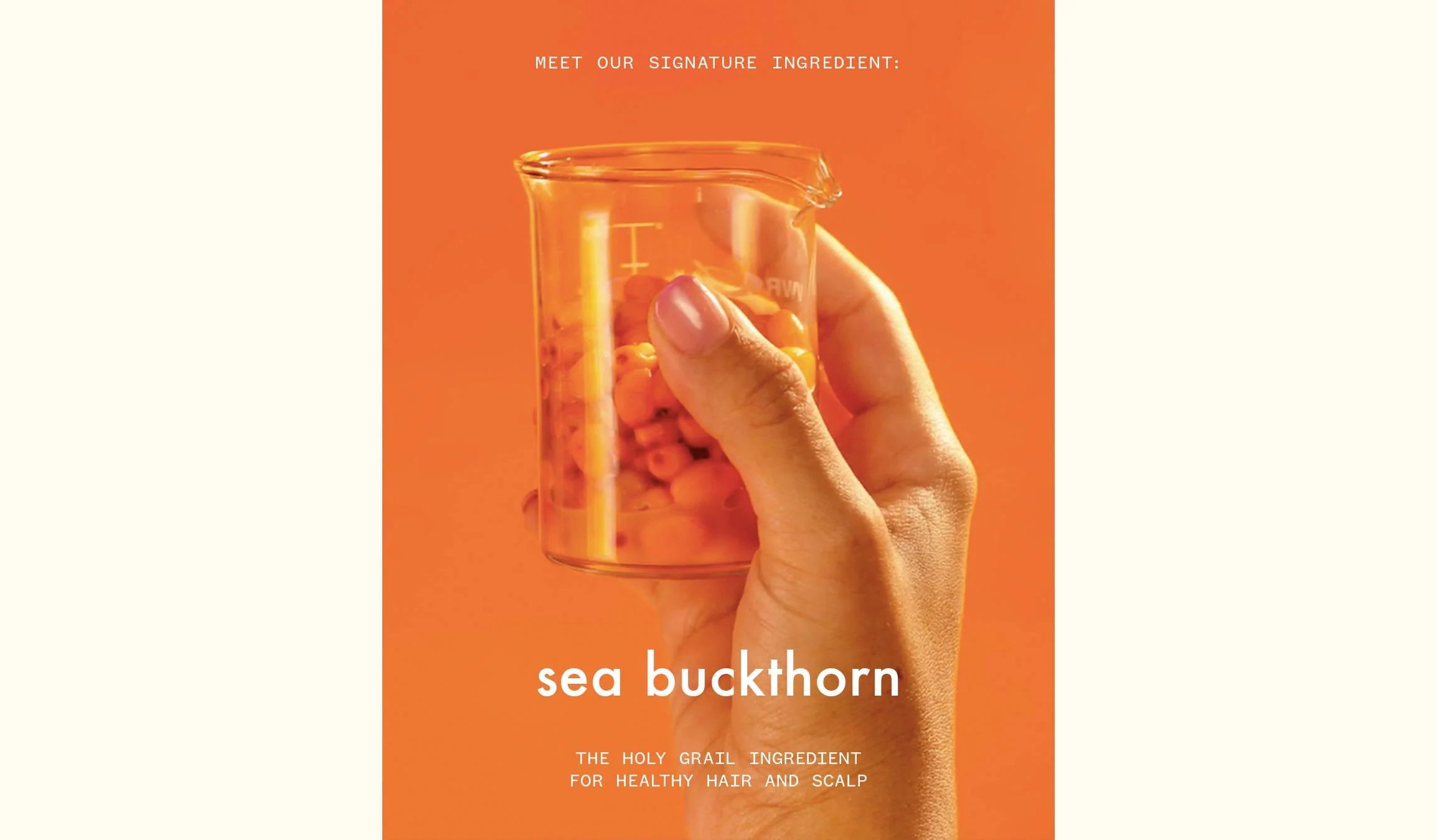 sea buckthorn ingredient spotlight