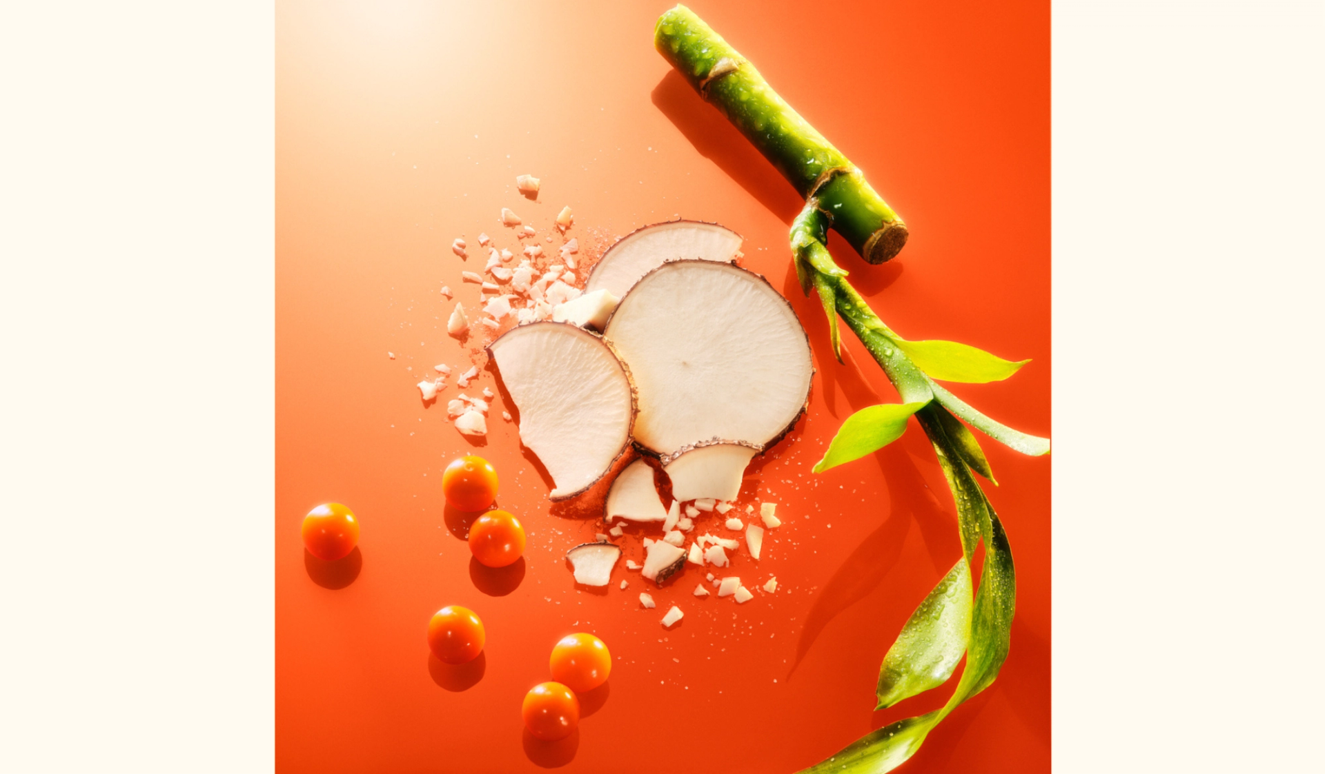 amika perk up ultra oil control dry shampoo key ingredients: tapioca starch, bamboo stem extract, and sea buckthorn