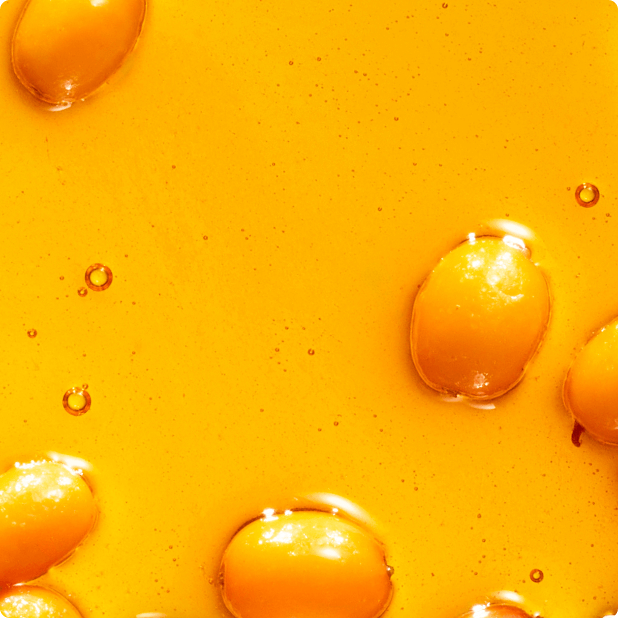 image of sea buckthorn berries and the hair oil.