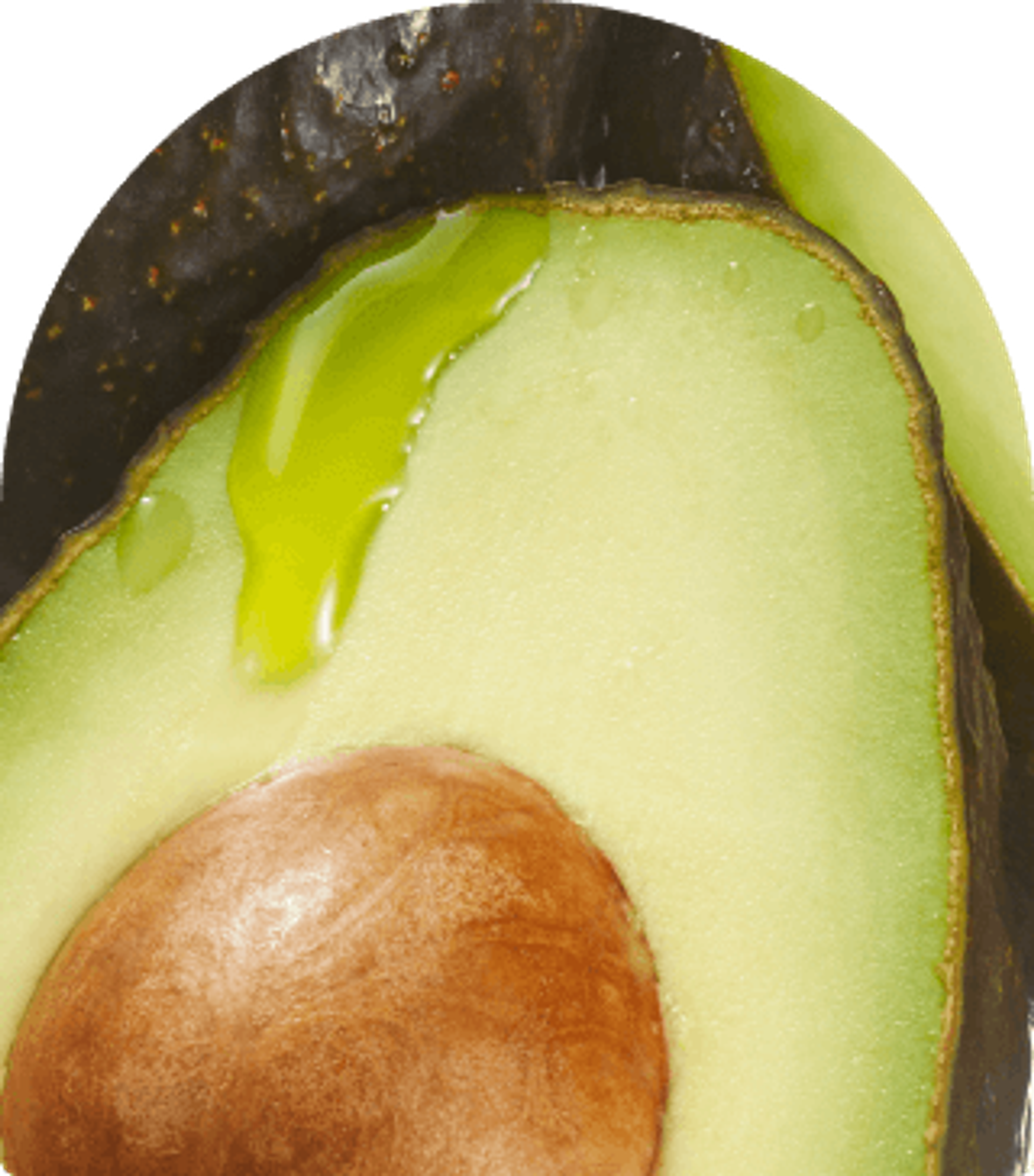 close up image of an avocado.