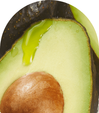 close up image of an avocado.