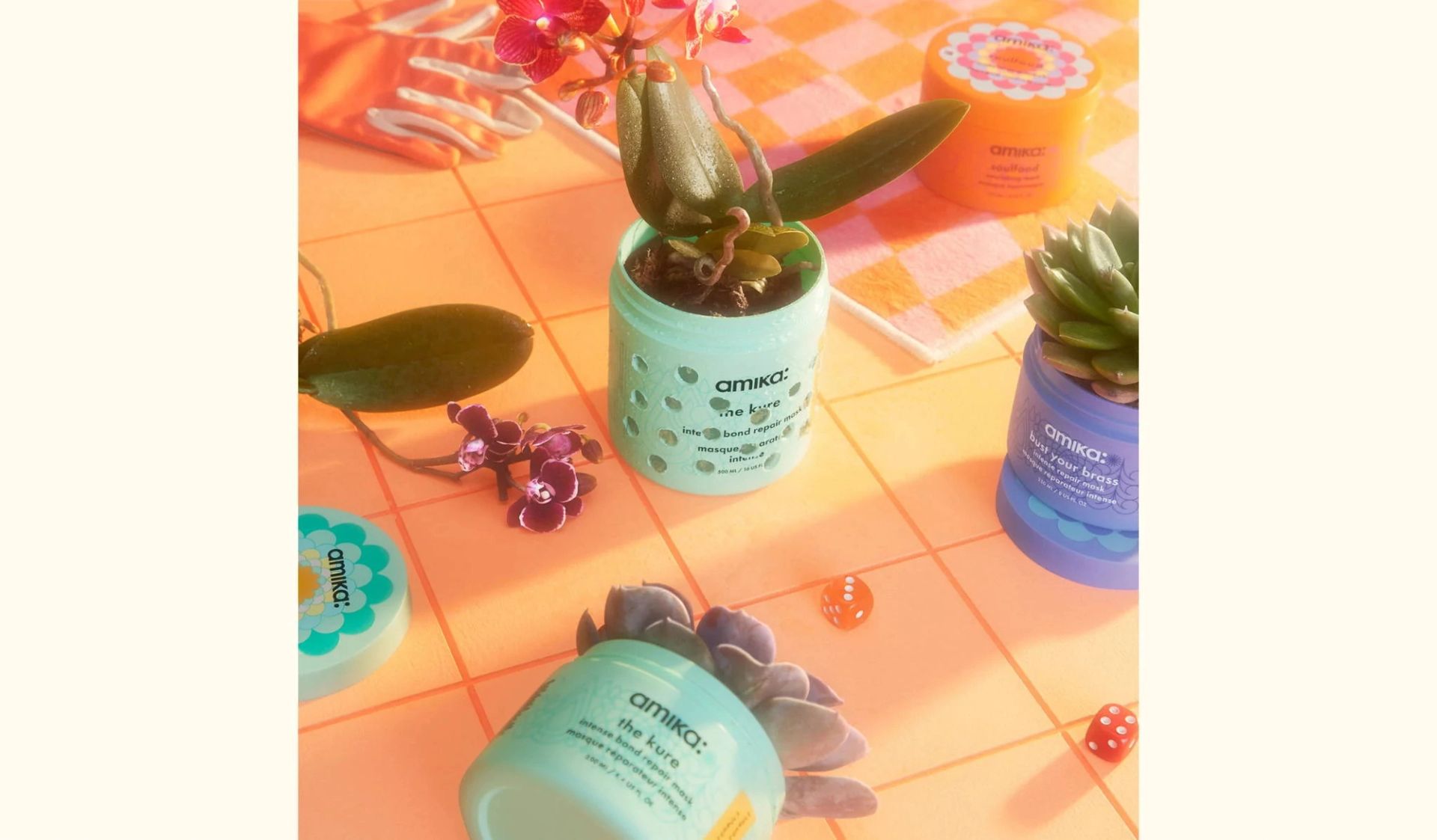 succulents planted in mask jars