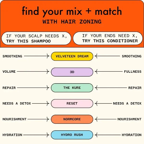 hair zoning infographic