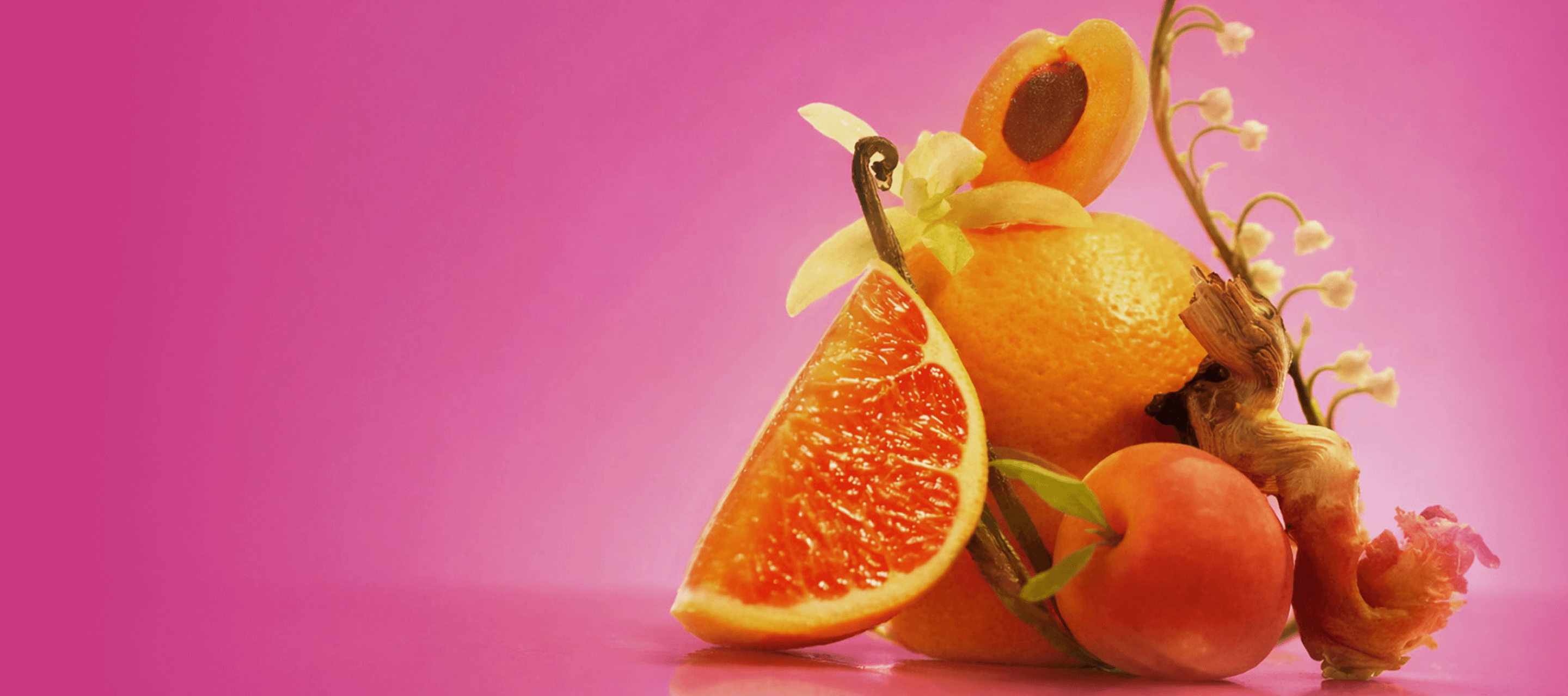 ingredient images of pink grapefruit, apricot, vanilla, lily of the valley and sandalwood on an pink background.