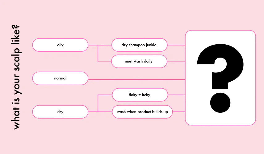 what is your scalp life infographic