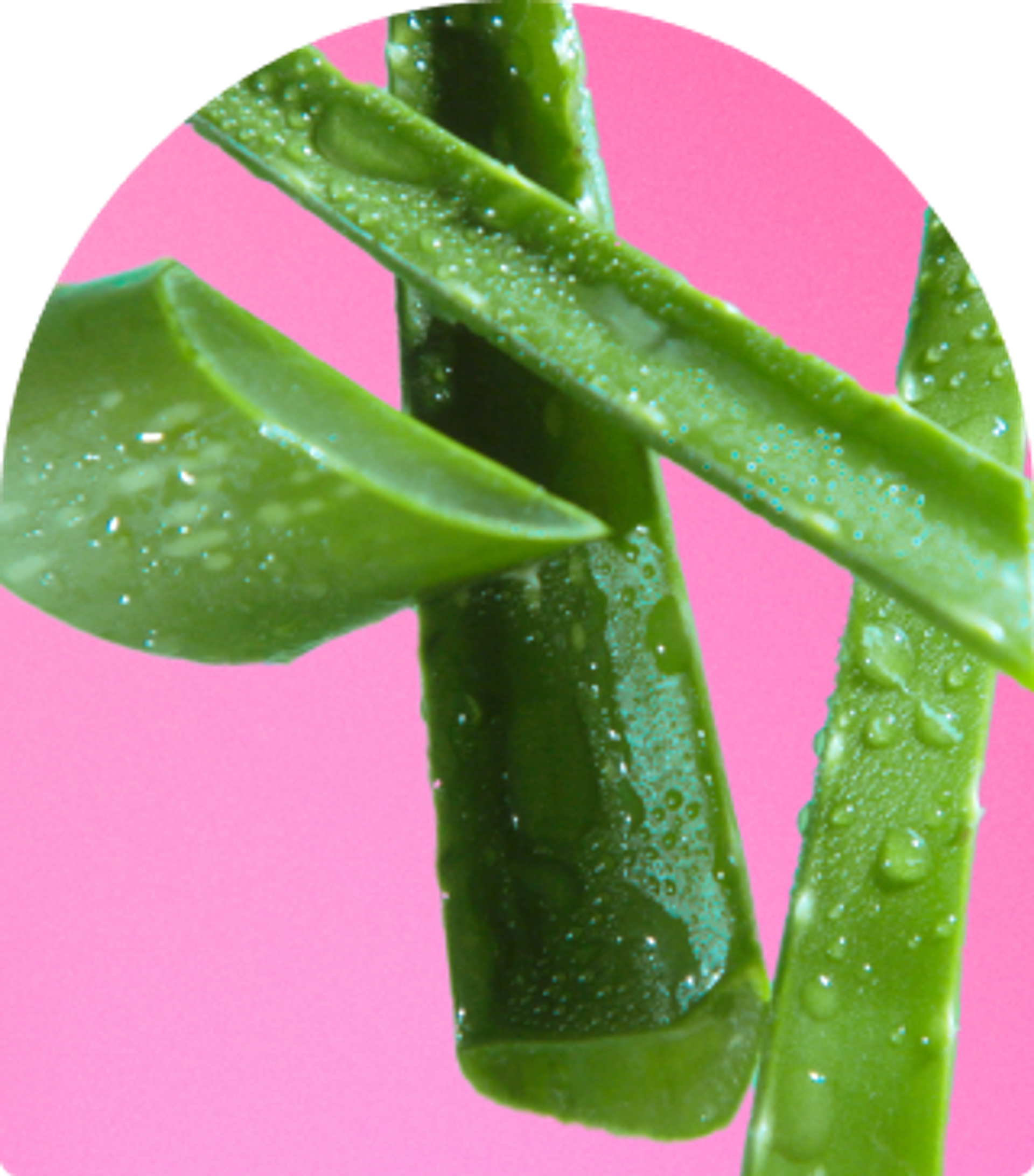 image of aloe leaf juice against a soft pink background.