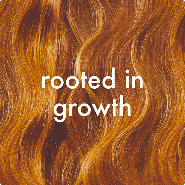 rooted in growth graphic