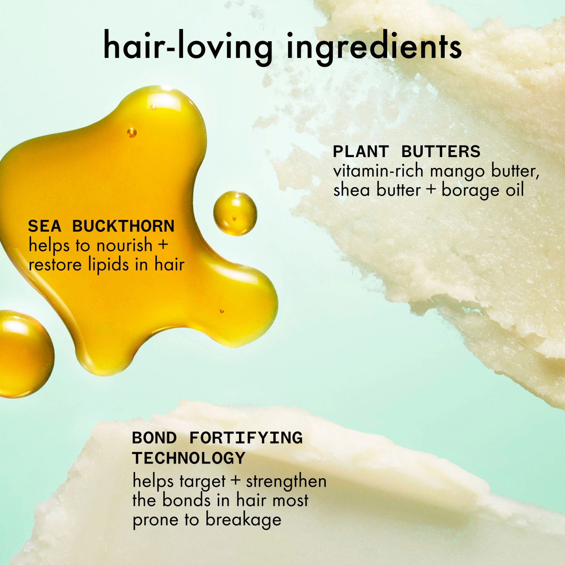 texture swatches of ingredients for amika's kure shampoo and conditioner on a light green backgound with text describing the ingredients