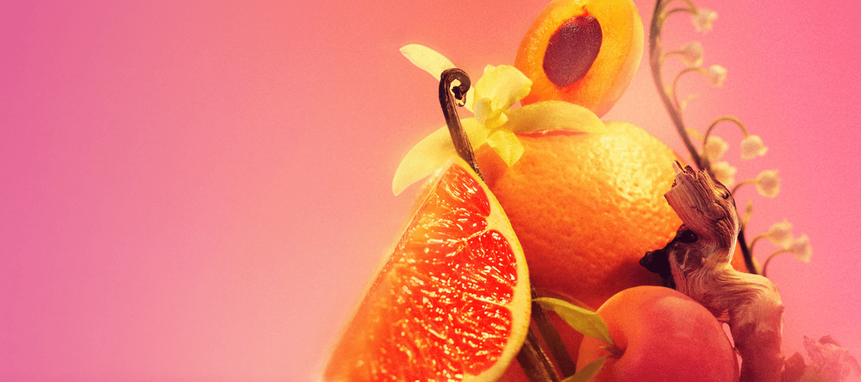 ingredient images of pink grapefruit, apricot, vanilla, lily of the valley and sandalwood on an pink background.