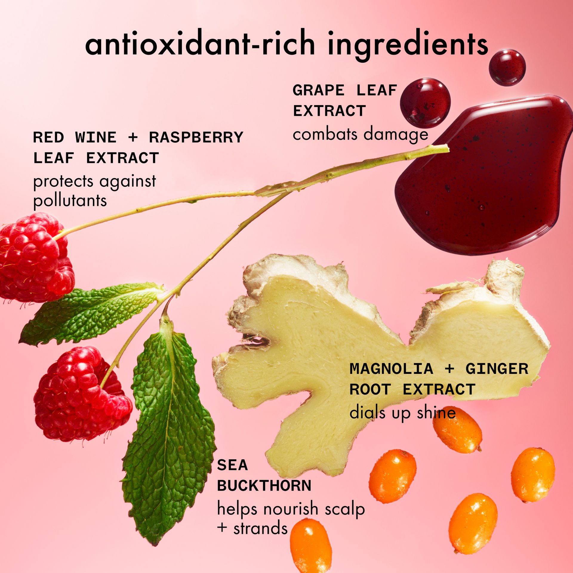 Illustration of antioxidant-rich ingredients with text on a pink background