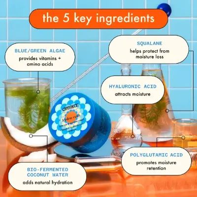 hydro rush intense moisture mask key ingredients infographic