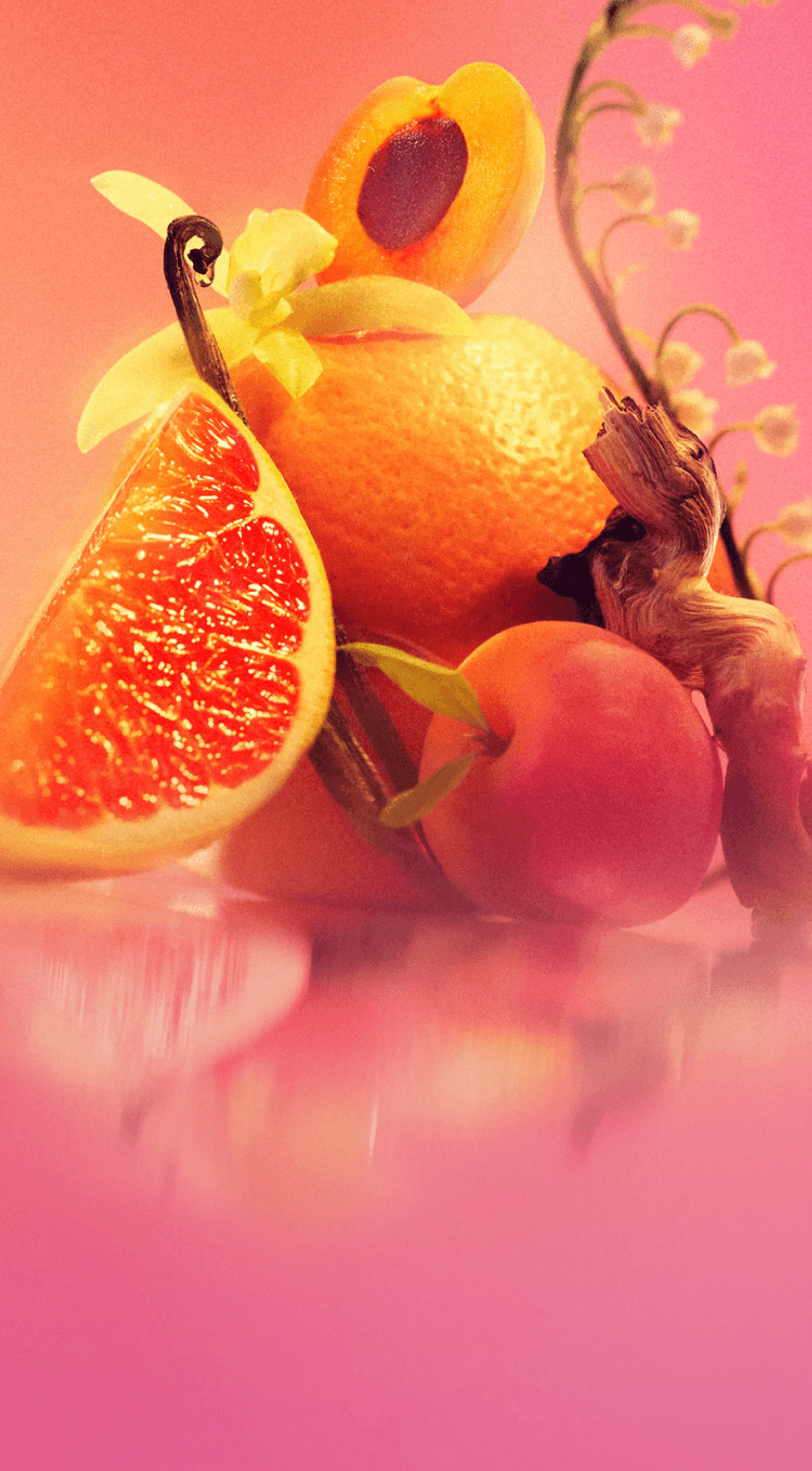 ingredient images of pink grapefruit, apricot, vanilla, lily of the valley and sandalwood on an pink background.