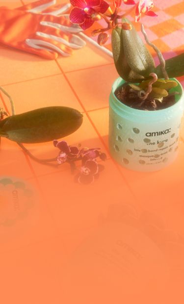 succulent planted in the kure intense bond repair mask jar