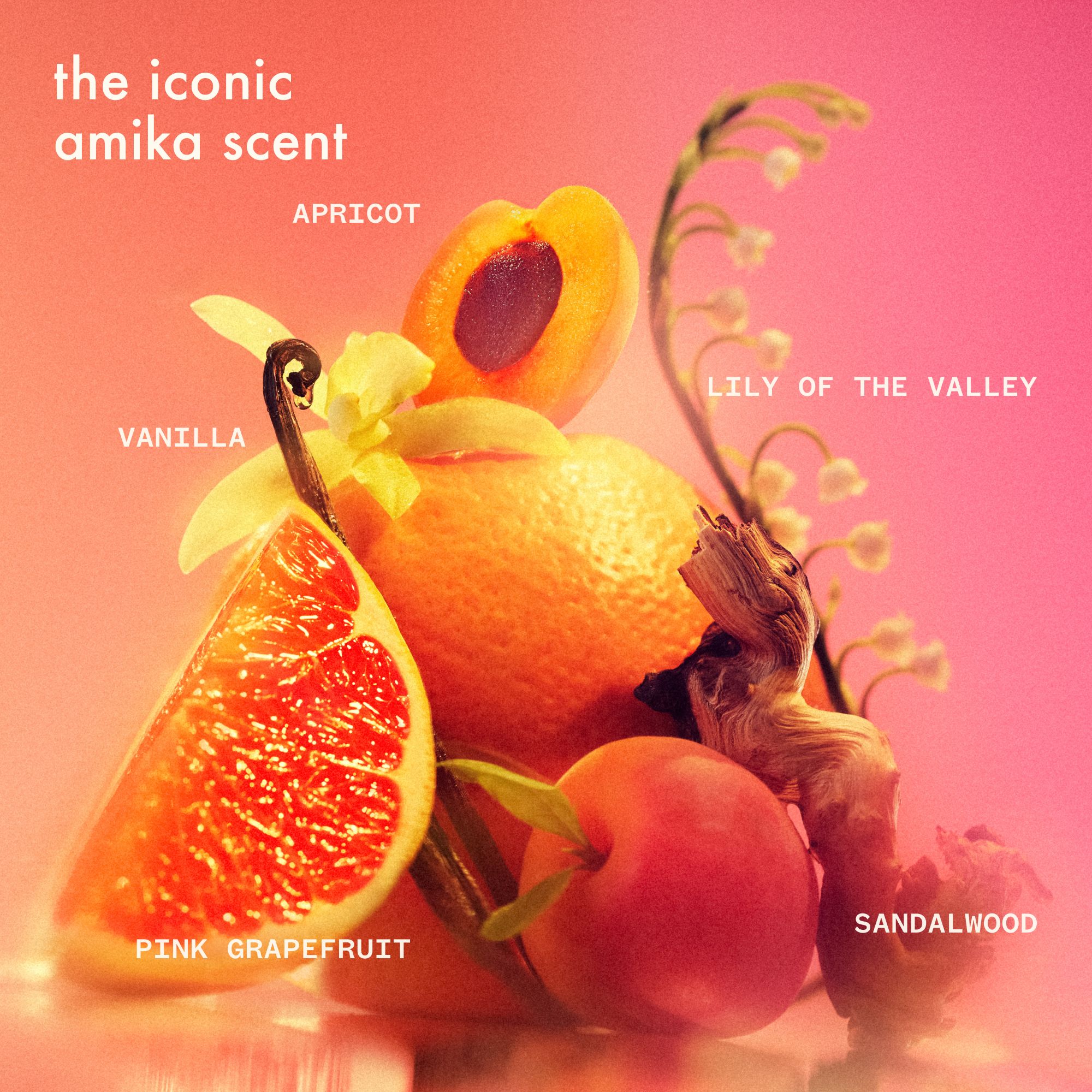 ingredient images of pink grapefruit, apricot, vanilla, lily of the valley and sandalwood on an pink background.
