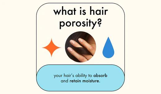 what is hair porosity? your hair's ability to absorb and retain moisture
